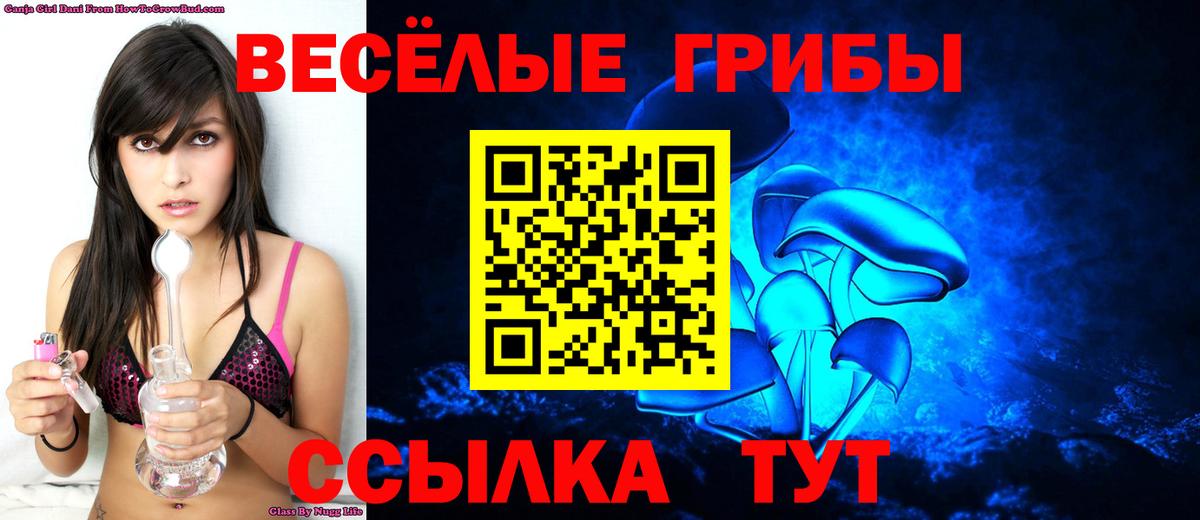Галлюциногенные грибы MAGIC MUSHROOMS  Псилоцибиновые грибы Psilocybe  Химки  Вход с VPN 